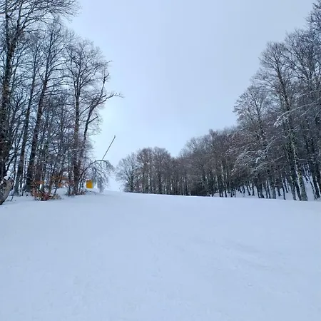 ベッド・アンド・ブレックファスト Maria Luisa Mountain Rovere