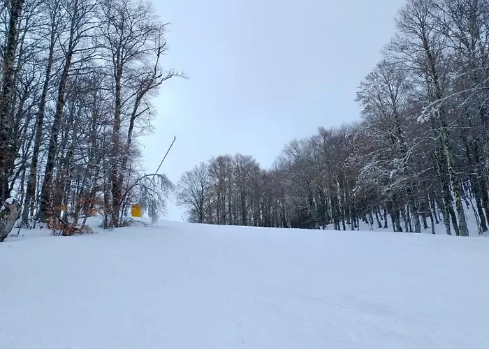 ベッド・アンド・ブレックファスト Maria Luisa Mountain Rovere